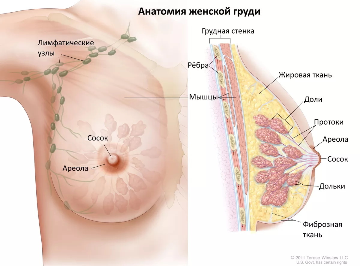 шишка на груди у женщин (120) фото